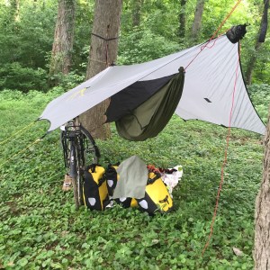 2015-06-25 09.12.13-1