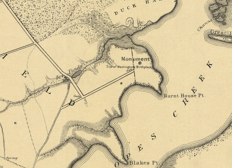 Screen Shot 2019-02-24 at 1.39.26 PM