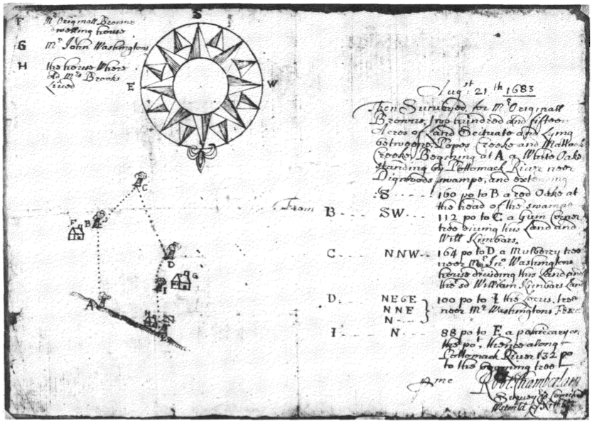 Screen Shot 2019-02-26 at 4.37.16 PM